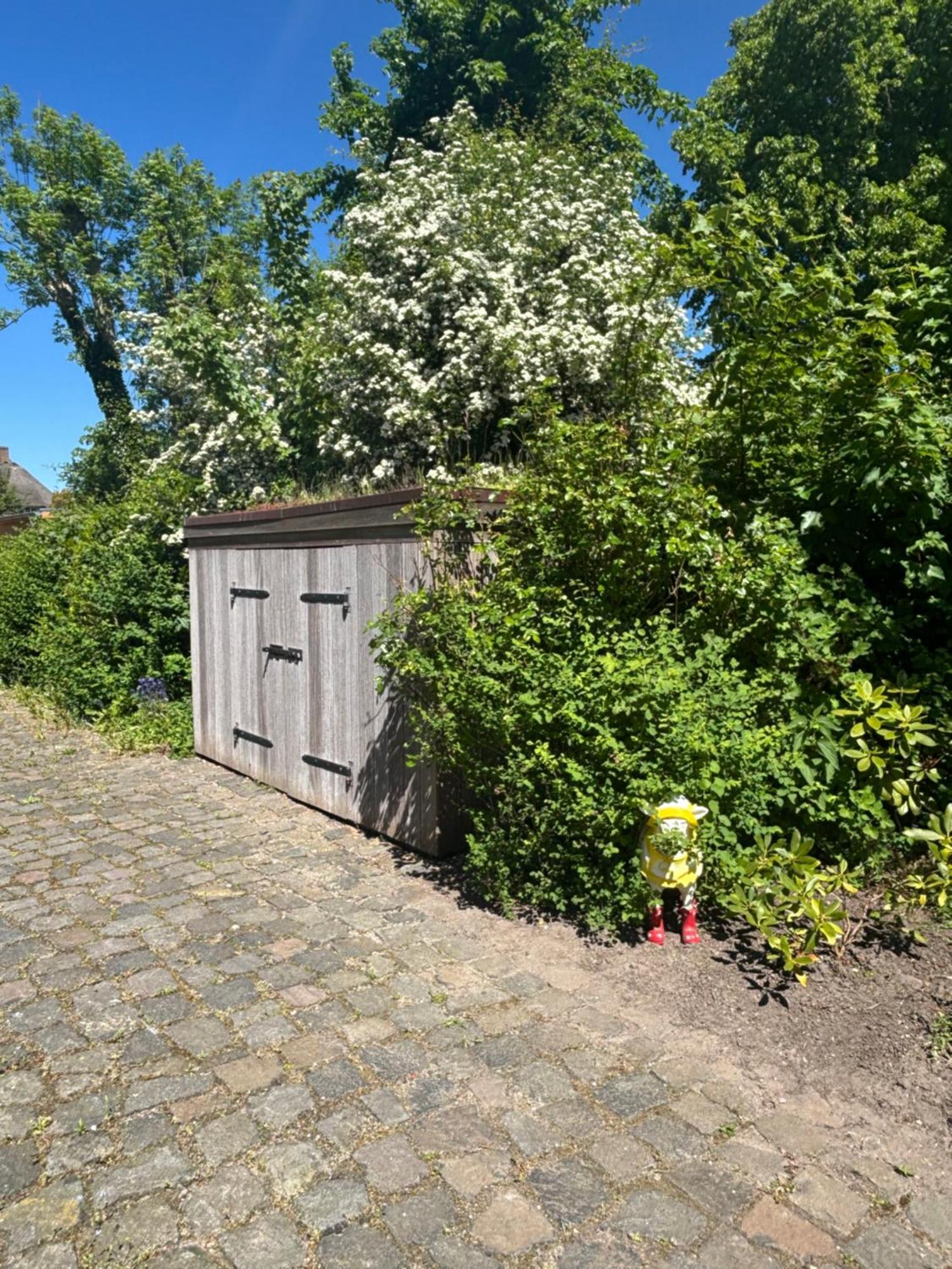 De Friesenjung Nordsee Risum-Lindholm Exterior photo